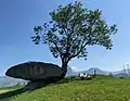 Druidenstein