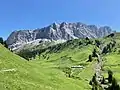Drusenfluh, Drei Türme („Dri Türm“, über der Erosionsrinne) und Sulzfluh (ganz rechts) von Süden (Grüscher Älpli) gesehen.