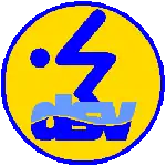 Schwimmabzeichen Gold