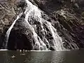 Gumpe am Ende der Wasserfälle