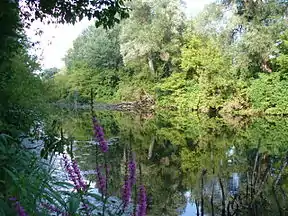 Natur- und Kulturlandschaft der Donau