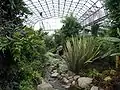 Wintergarten