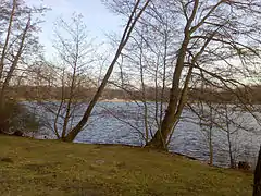 Flachweiher