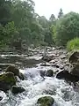 Stromschnellen bei Longformacus
