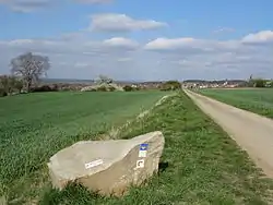 Markierung des Fernwanderwegs E3 Atlantik – Ardennen – Böhmerwald bei Münzenberg, zugleich Jakobsweg Region Vogelsberg