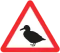 Vögel