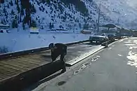 Diese Autotransportwagen entstanden in Umbauten von ausrangierten vier­achsigen Reisezugwagen.