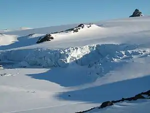 Ecology Glacier