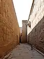 Wandelgang