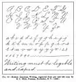 Geschäftsschrift-Vorlage von E. C. Mills, 1909