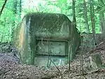 Infanteriebunker «Chaibwies» A 5390