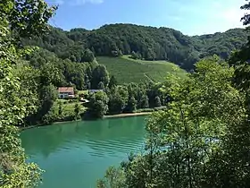Blick auf Oberriet im Sommer 2017