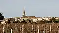 Sainte-Marie-de-Ré hinter den Weingärten (Blick nach Süd-Ost)