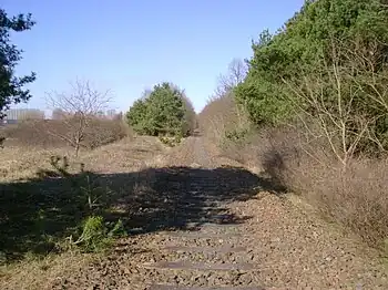 Abzweig (links) des ehemaligen Werkanschlusses von der ehemaligen Bahnstrecke Oranienburg-Kremmen (rechts) bei km 32,4 (Lage52.74405060816213.20908010006)