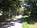 Bahnradweg bei Droßdorf