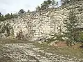 Schichtkalksteinfazies im Steinbruch bei Uetzing/Oberfranken