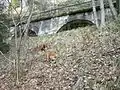 Ehemaliger Kleinbahnstreckenteil Naundorf–Colmnitz im Tharandter Wald