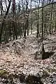 Ehemaliger Schießstand Im Lösnicher Wald mit Blick vom Zielwall in Richtung Forstweg
