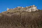 Dolomitisierte Schwammriff-Massenkalkfazies des Ehrenbürg-Plateaus bei Forchheim/Oberfranken