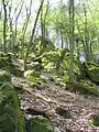 Felsformationen am Eichelberg-Nordhang (südöstlich Oberflockenbachs): Porphyrartiger Granit (pG) mit großen Kfs-Kristallen und (lokale Besonderheit) rötlichem Quarz