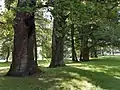 Platnersberg