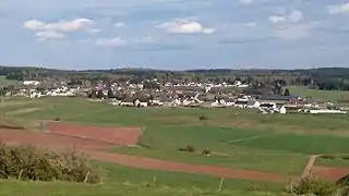 Wiesbaum mit Eifellandschaft