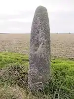 Der Lange Stein von Eilsleben