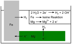 Abb. 2: Eisen mit Magnesiumanode in wässriger Lösung