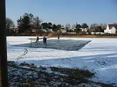 Eisweiher bei Neuhofen (Februar 2012)