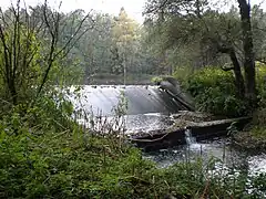 Anstau Eisweiher Fischbach (Oktober 2010)