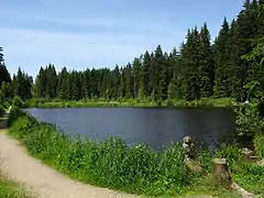 Eisweiher bei Titisee(Juni 2014)
