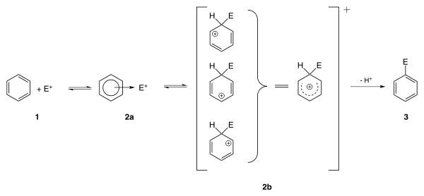 Mechanismus der elektrophilen aromatischen Substitution