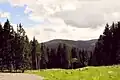 Zwischen Marienquelle und Emmastein, Blick auf den Kickelhahn