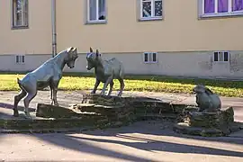 Junge Steinböcke und Hase