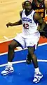 Elton Brand
