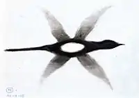 Elster im Flug, 1918