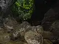Ende der Höhle