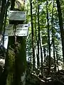 südliches Ende des Sentier des Roches