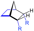 endo