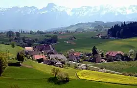 Englisberg und Zimmerwald