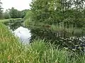 Der Bruchbach beim Entenfang in Boye (Celle)
