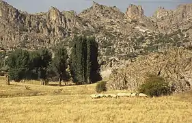 Das große vulkanische Massiv des Erenler Dağı trennt die verkarsteten Becken des Suğla- und des Beyşehir-Sees von der Konya-Ova und damit vom zentralanatolischen Hochland.