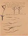 Brief von Erich Brauer, Seite1