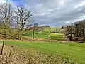 Hönderbruch im Erlenbachtal (Blick von Lichteneichen)