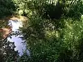 Große Grabentasche