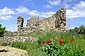 Ruine der Martinskapelle