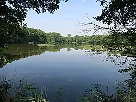 Der Etang du Millieu