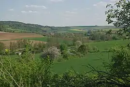 Zwischen Schönarts und Eußenheim
