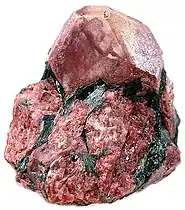 Putelitschorr