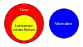 Alle Lebewesen mit vier Beinen sind Tiere, aber kein Mineral ist ein Tier.